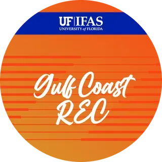 thumbnail for publication: Gulf Coast REC